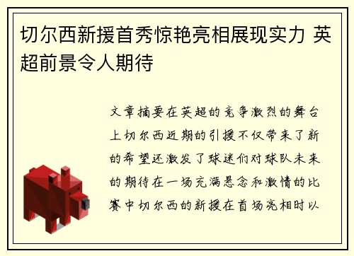 切尔西新援首秀惊艳亮相展现实力 英超前景令人期待